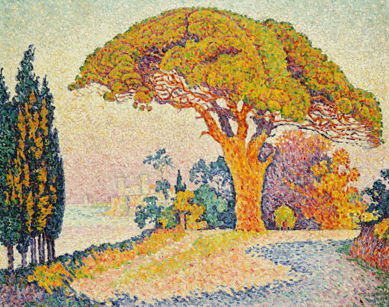 Mäntypuut Bertaudissa, Saint-Tropezissa tekijältä Paul Signac