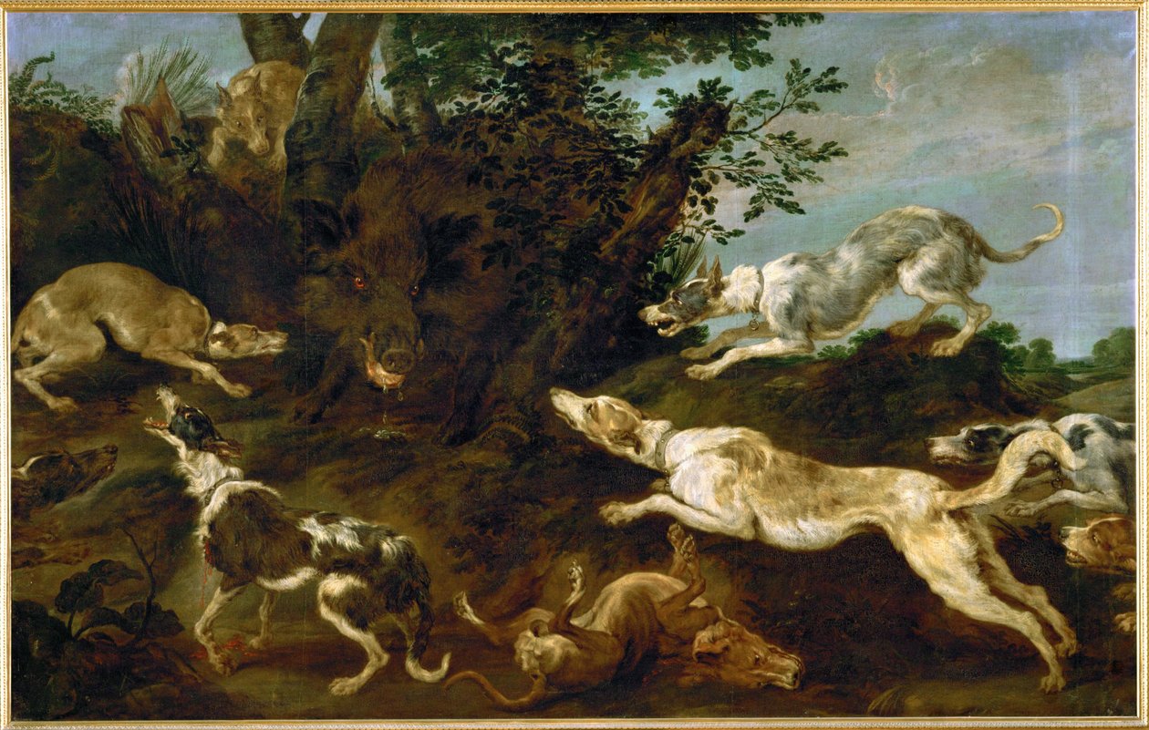 Villisikajahti tekijältä Paul de Vos