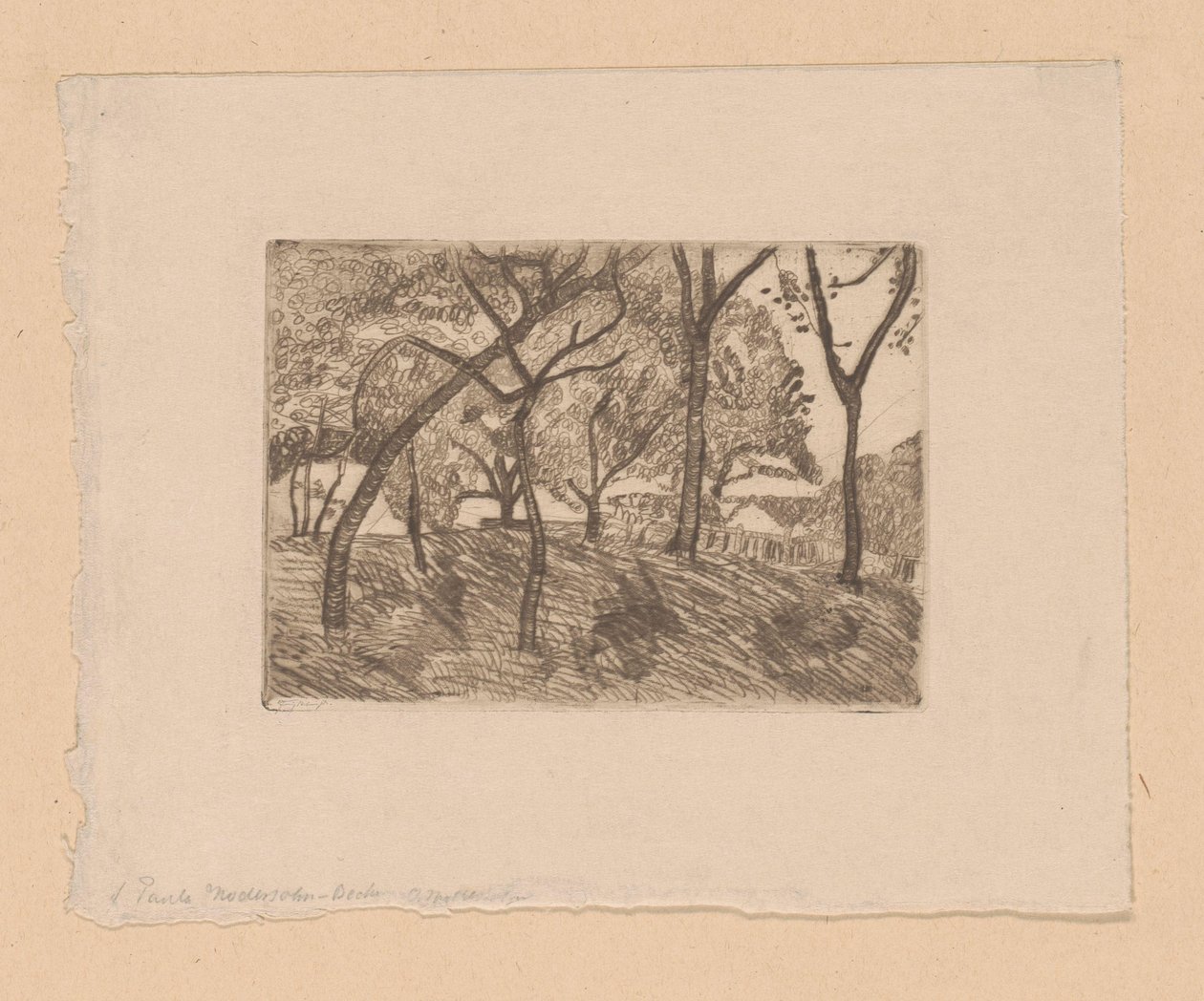 metsänäkymä tekijältä Paula Modersohn Becker (signed by artist)