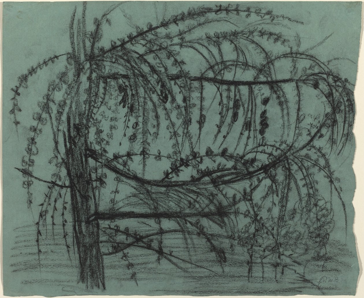 Hedelmäpuu kukkimassa tekijältä Paula Modersohn Becker