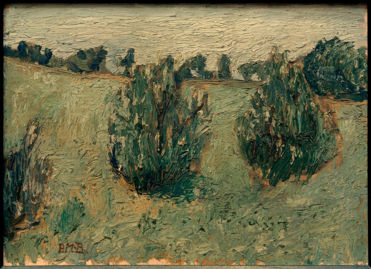 Maisema mäntyjen kanssa tekijältä Paula Modersohn Becker