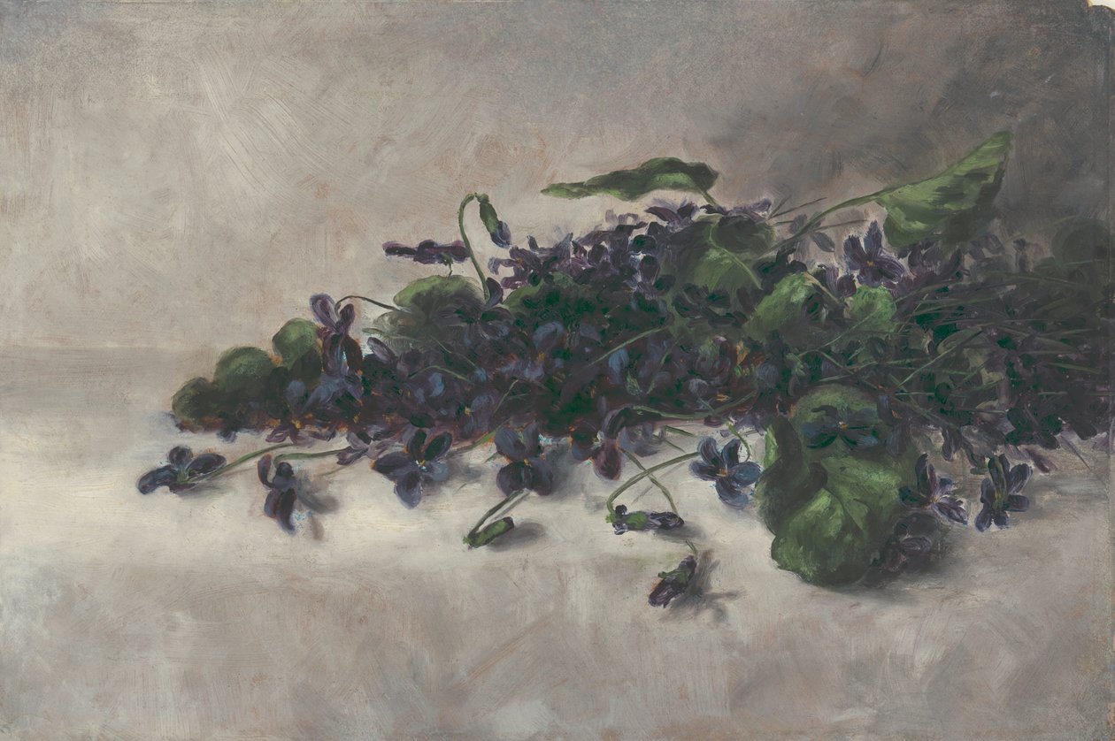 Violetit, n. 1890. tekijältä Pauline Powell Burns