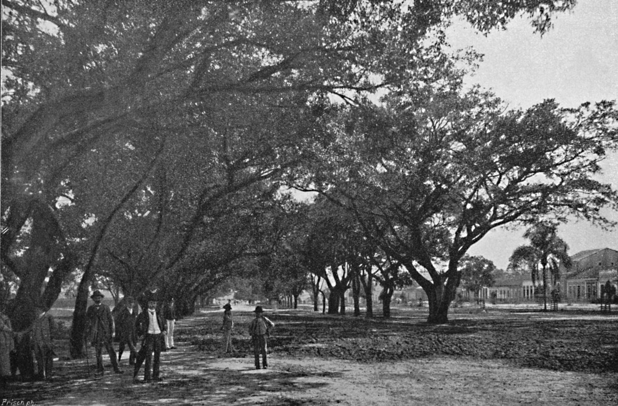 Avenida de Tiradentes, 1895 tekijältä Paulo Kowalsky