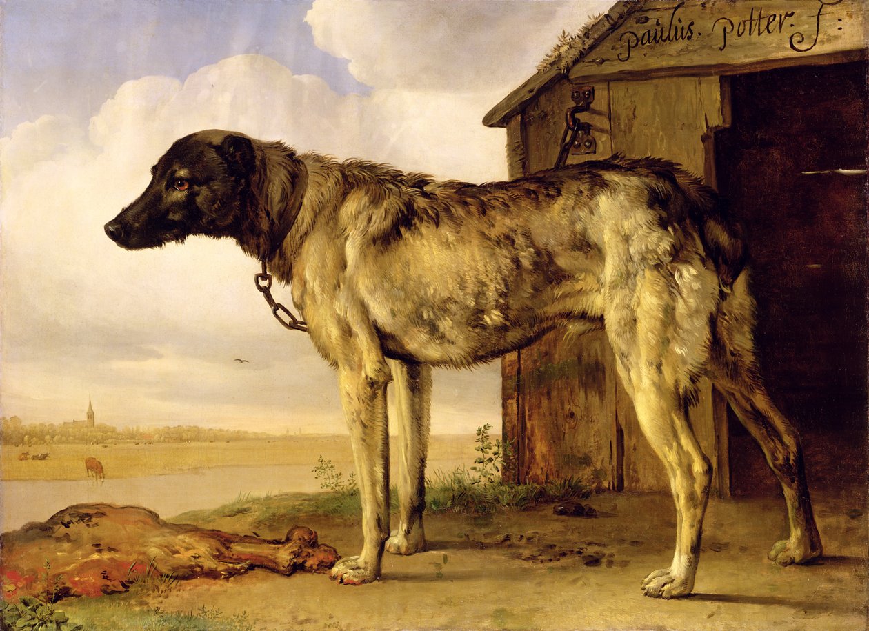 Koira ketjussa, 1653-4 tekijältä Paulus Potter