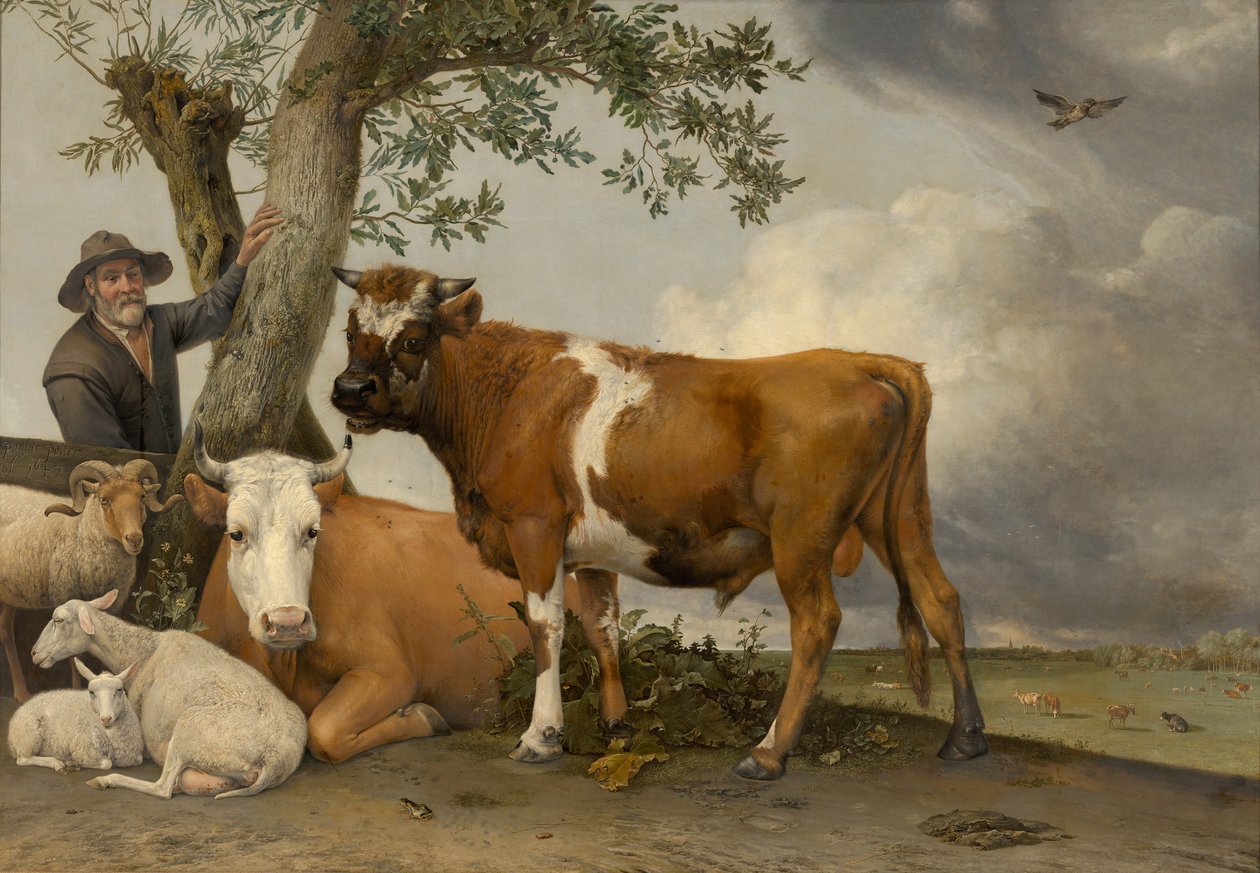 Härkä, 1647 tekijältä Paulus Potter