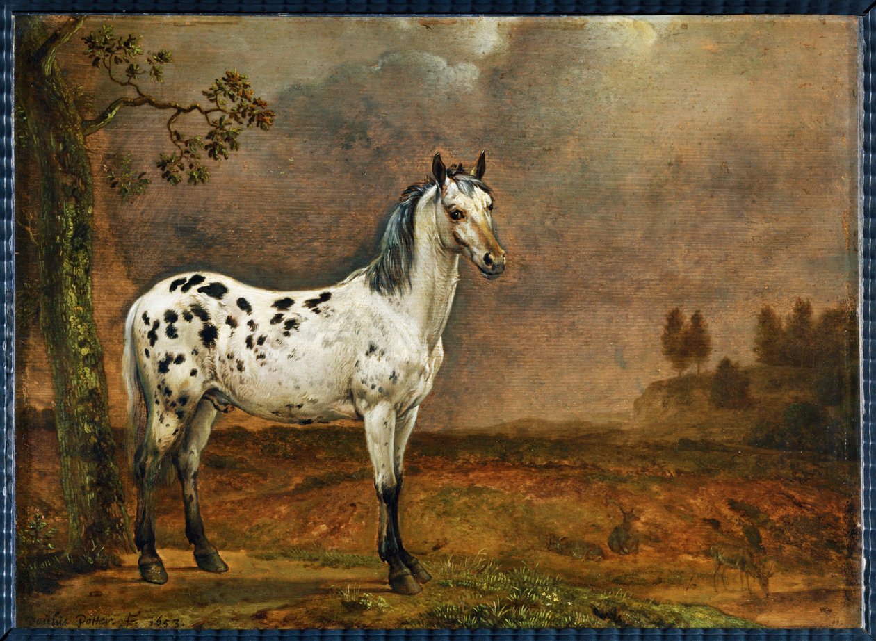 Le cheval pie - pilkullinen hevonen ... tekijältä Paulus (attr.to) Potter