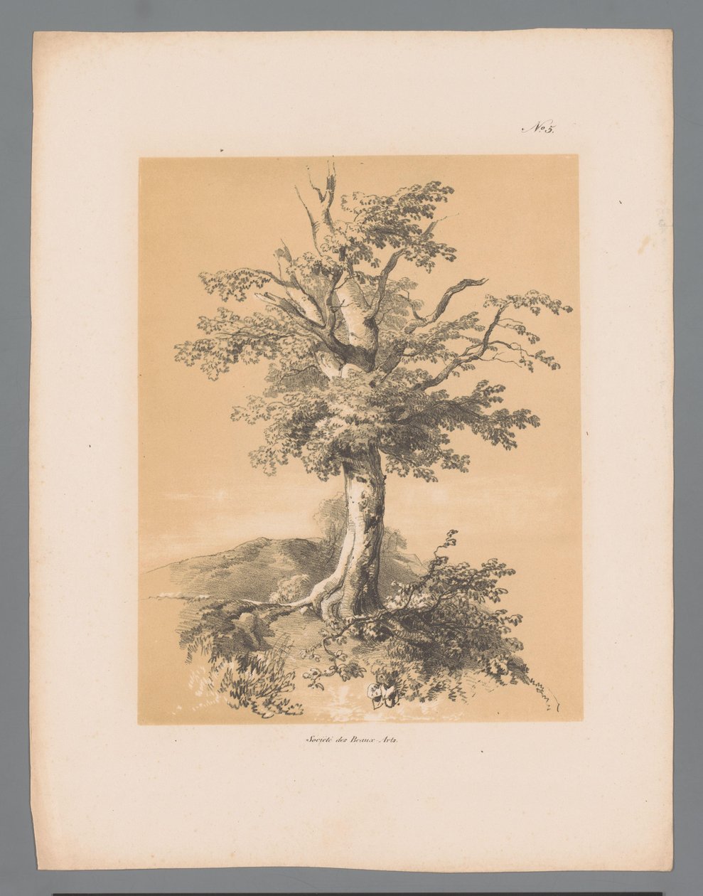 Puomi Paulus Lautersin maalaukselliset kasvot (sarjan nimi) Etrennes pittoresques pour 1839, kirjoittanut Lauters (sarjan nimi) tekijältä Paulus Lauters