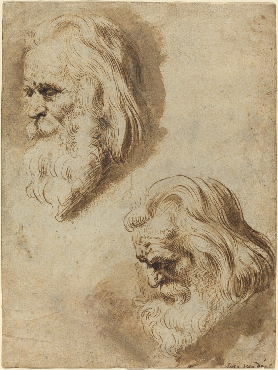 Kaksi tutkimusta iäkkään miehen päästä tekijältä Paulus Pontius after Sir Peter Paul Rubens