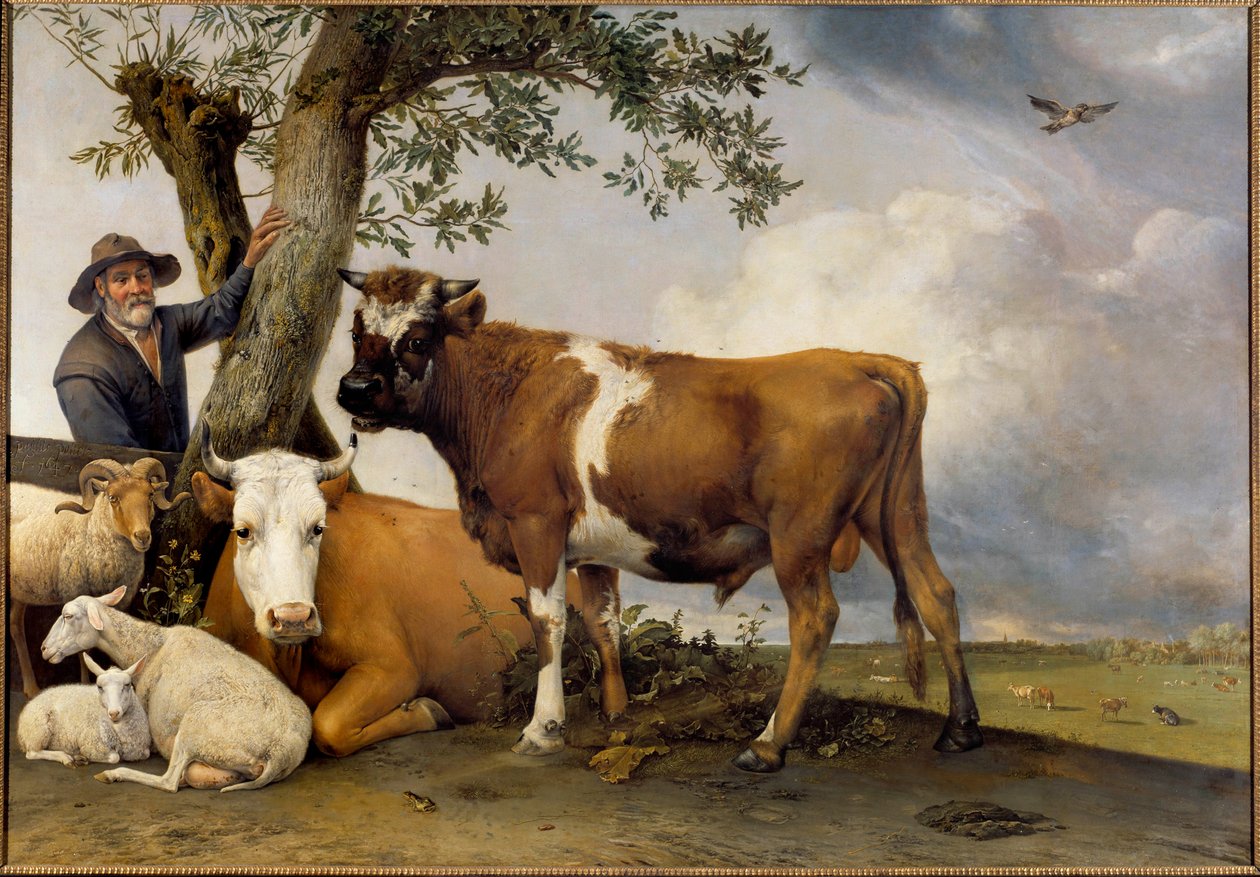 Nuori härkä Paimen ja hänen karjansa, veli, lammas, lehmä ja härkä. Paul Potterin (1625-1654) maalaus 1647 Su. 2,36x3,39 m Haag. Mauritshuis tekijältä Paulus Potter