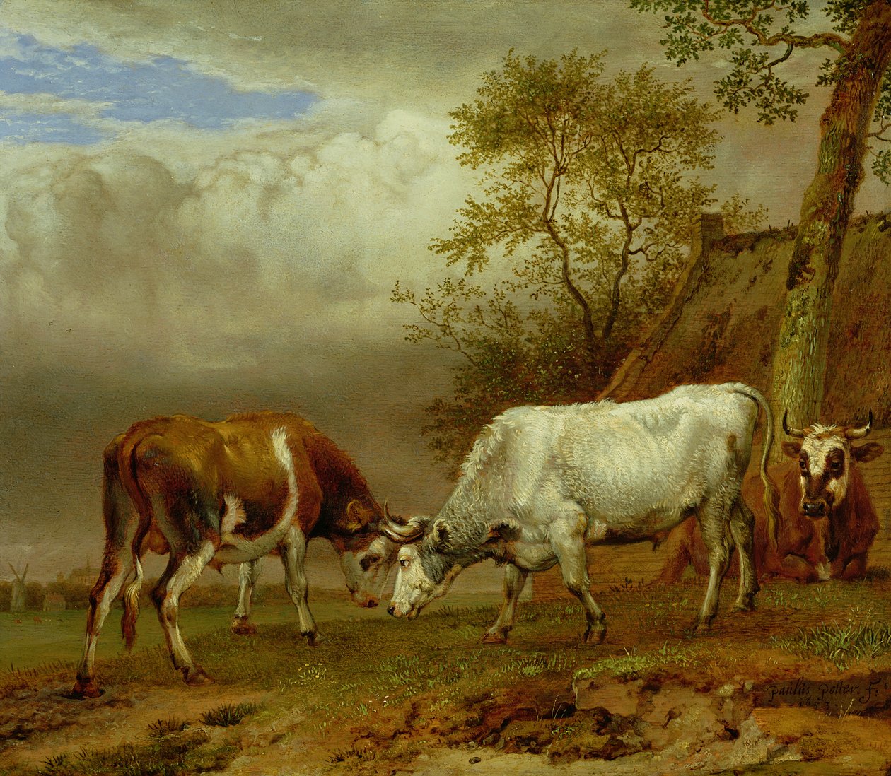 Kaksi härkää lukituilla sarvilla, 1653 tekijältä Paulus Potter