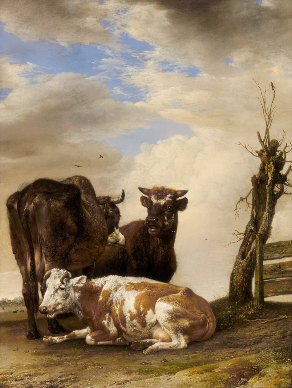 Kaksi lehmää ja nuori härkä aidan vieressä niityllä, 1647. tekijältä Paulus Potter