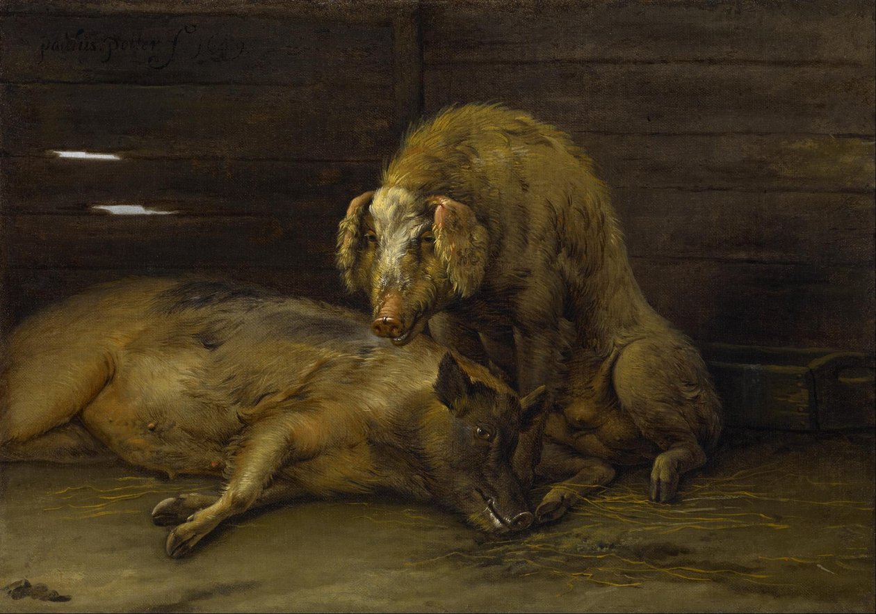 Kaksi sikaa mökissä, 1649 tekijältä Paulus Potter
