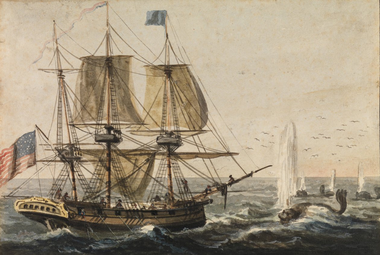 Laivan laakerin täydentäminen tursalla Newfoundlandin rannikolla, 1811-ca. 1813. tekijältä Pavel Petrovic Svin