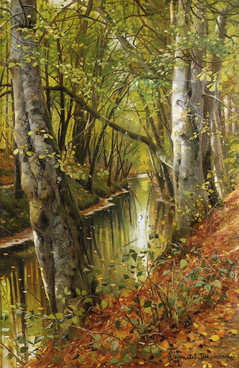 Metsäinen jokimaisema tekijältä Peder Monsted