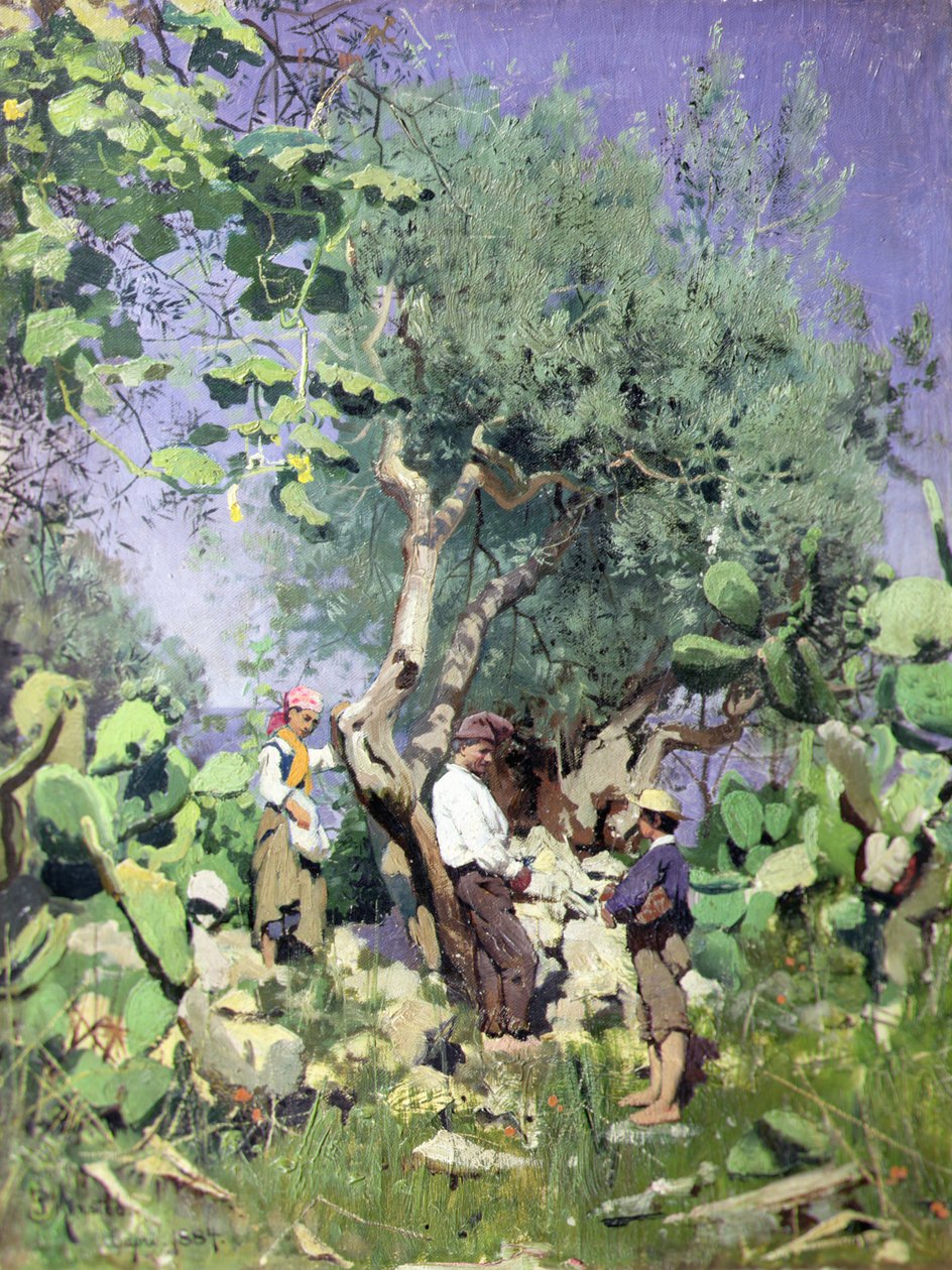 Oliivin sato tekijältä Peder Monsted