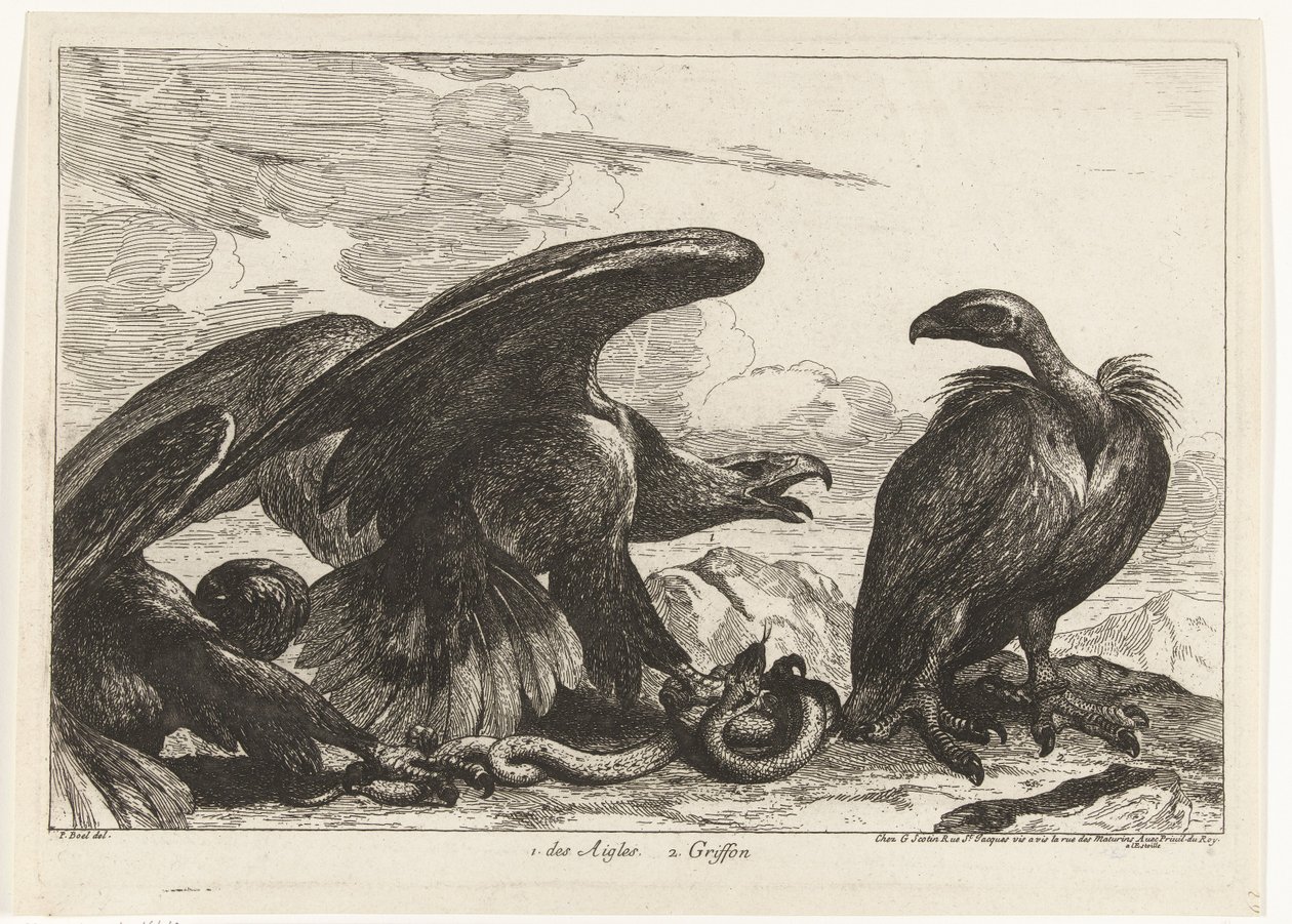 Korppikotka ja kotka käärmeellä 1. des Aigles 2. Griffon (otsikko esineessä) Birds from the Menagerie of Versailles (sarjan nimi) tekijältä Peeter Boel (attributed to)