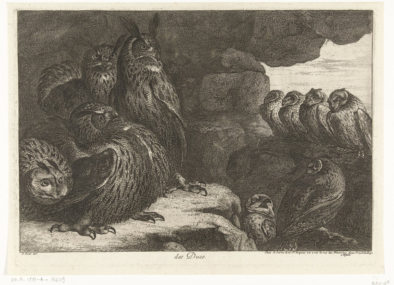 Pöllöt luolassa des Ducs (otsikko esineessä) Birds from the Menagerie of Versailles (sarjan nimi) tekijältä Peeter Boel (attributed to)
