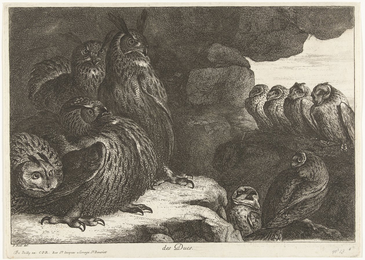 Pöllöt luolassa des Ducs (otsikko esineessä) Birds from the Menagerie of Versailles (sarjan nimi) tekijältä Peeter Boel (attributed to)