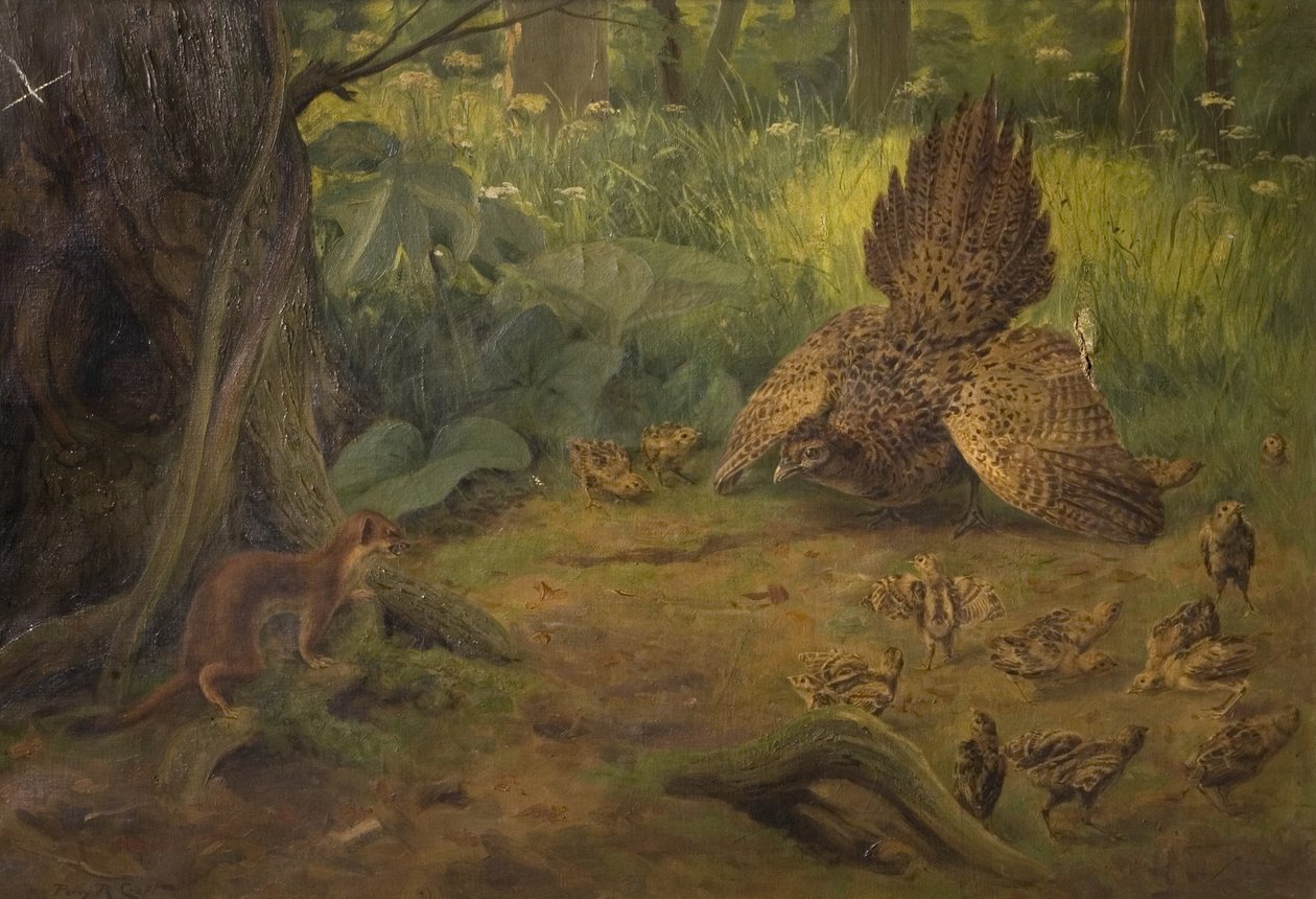 Puolustus ei uhmaa, 1900-luvun alku tekijältä Percy Robert Craft
