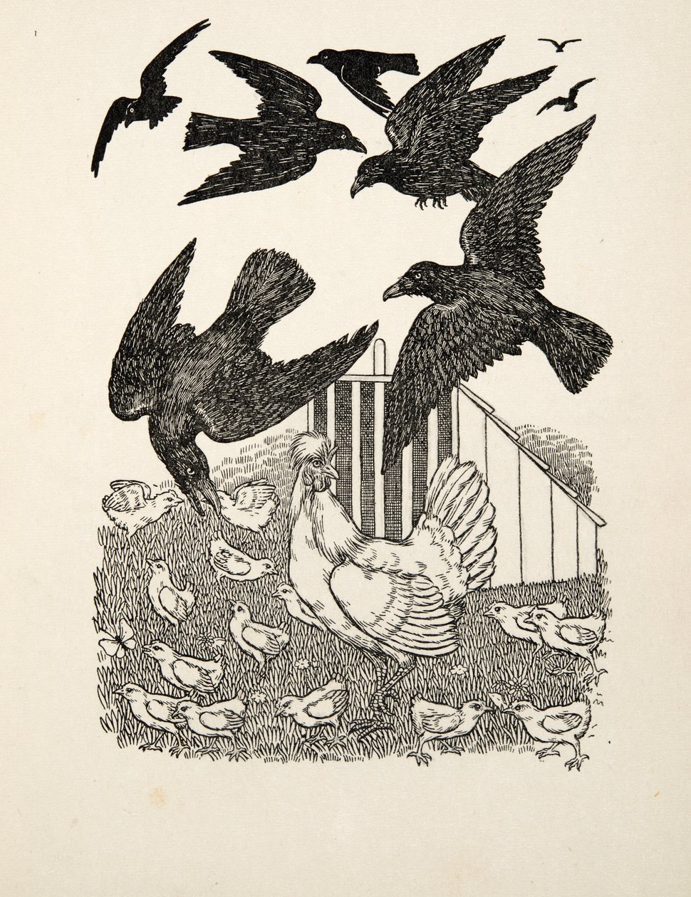 A Calculating Crow, kirjasta A Hundred Anecdotes of Animals, julkaisu. 1924 tekijältä Percy J. Billingshurst