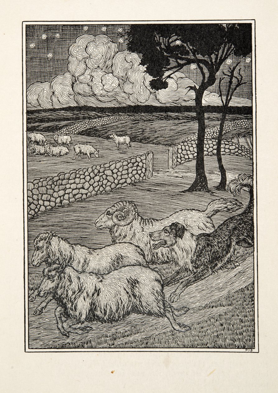 A Canine Sheep Stealer, kirjasta A Hundred Anecdotes of Animals, pub. 1924 tekijältä Percy J. Billingshurst