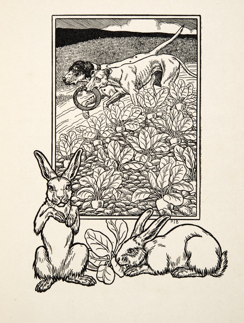Viekas pari, Sata anekdoottia eläimistä, pub. 1924 tekijältä Percy J. Billingshurst