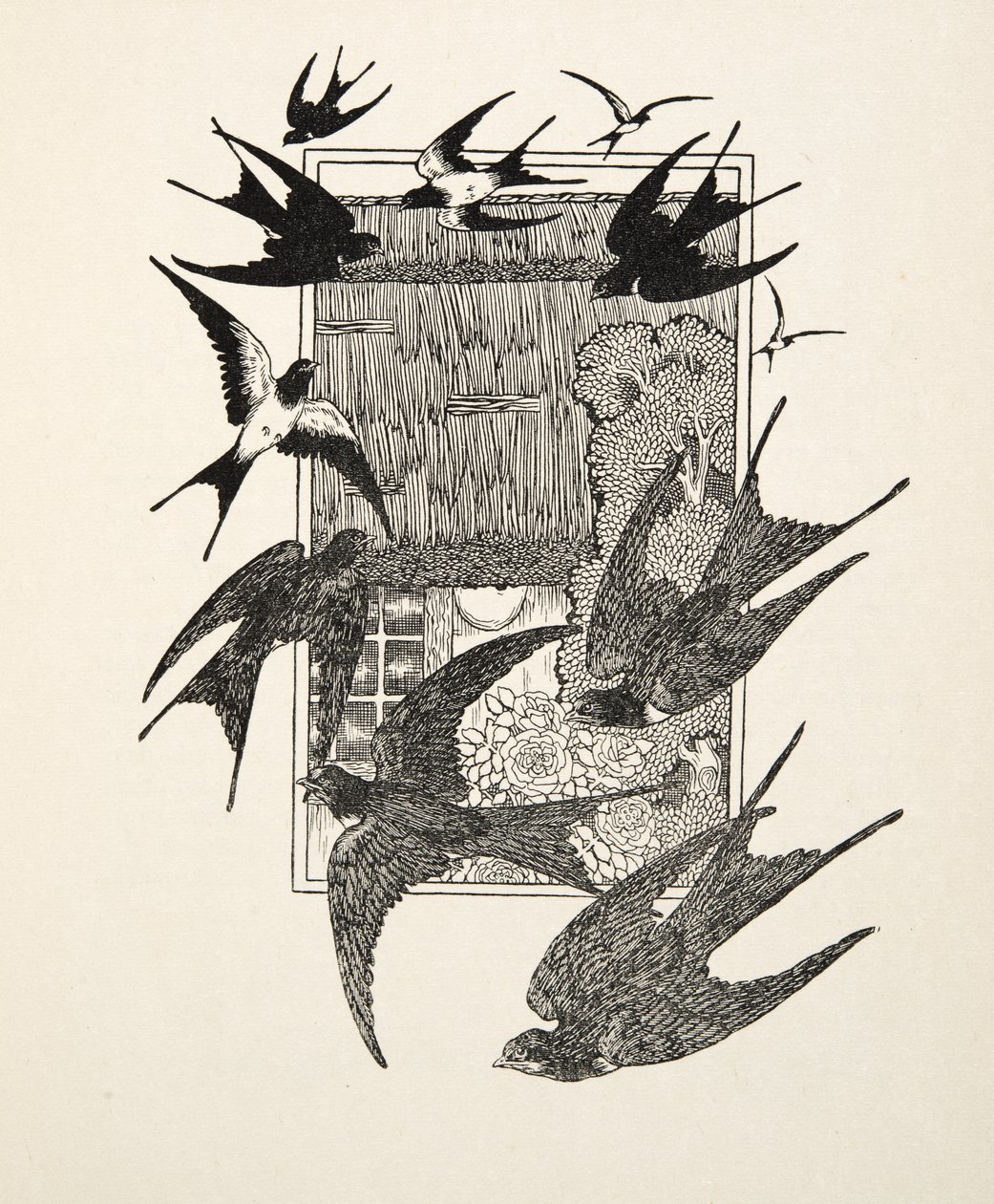 An Usurper Punished, kirjasta A Hundred Anecdotes of Animals, pub. 1924 tekijältä Percy J. Billingshurst