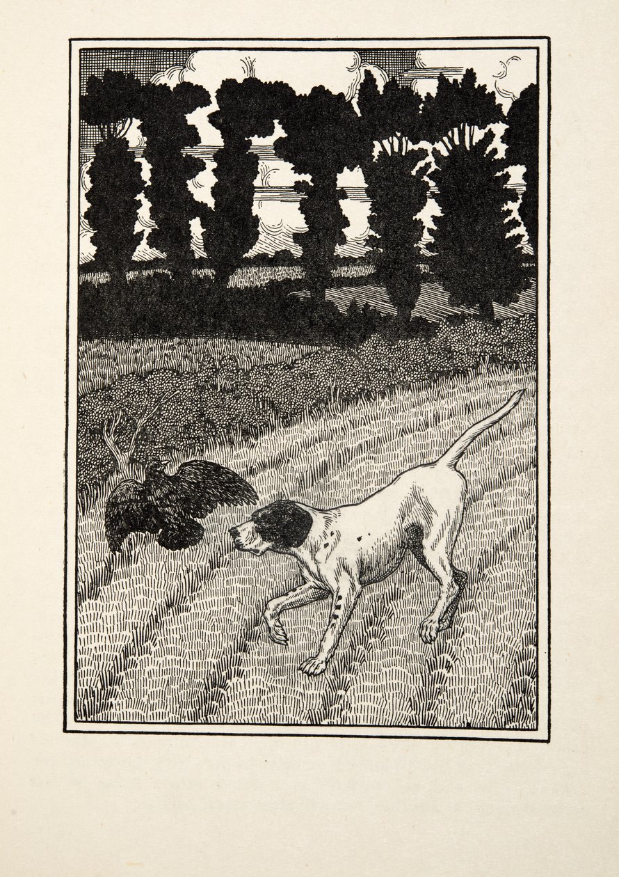 Deceiving the Fowler, sarjasta A Hundred Anekdootes of Animals, pub. 1924 tekijältä Percy J. Billingshurst