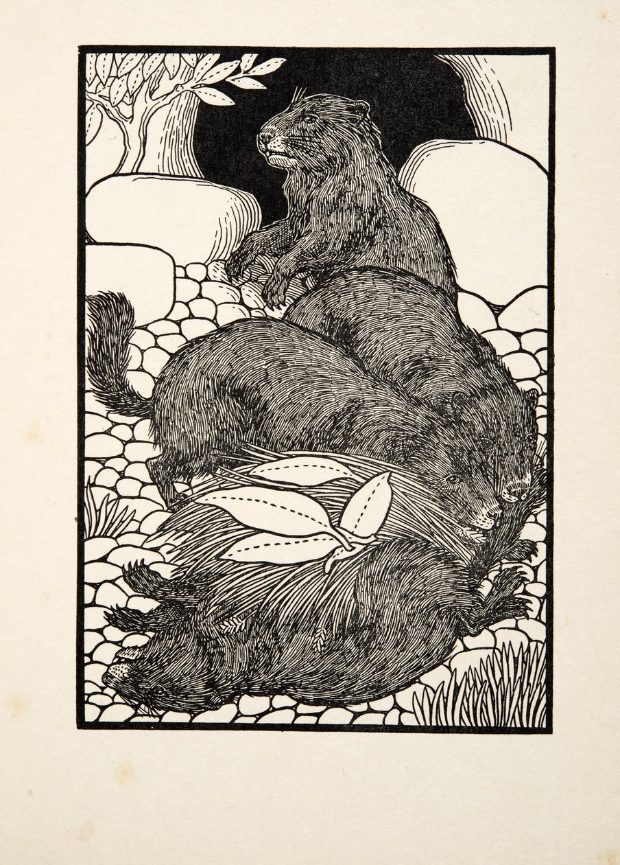 Työnjako, julkaisusta A Hundred Anekdootes of Animals, pub. 1924 tekijältä Percy J. Billingshurst