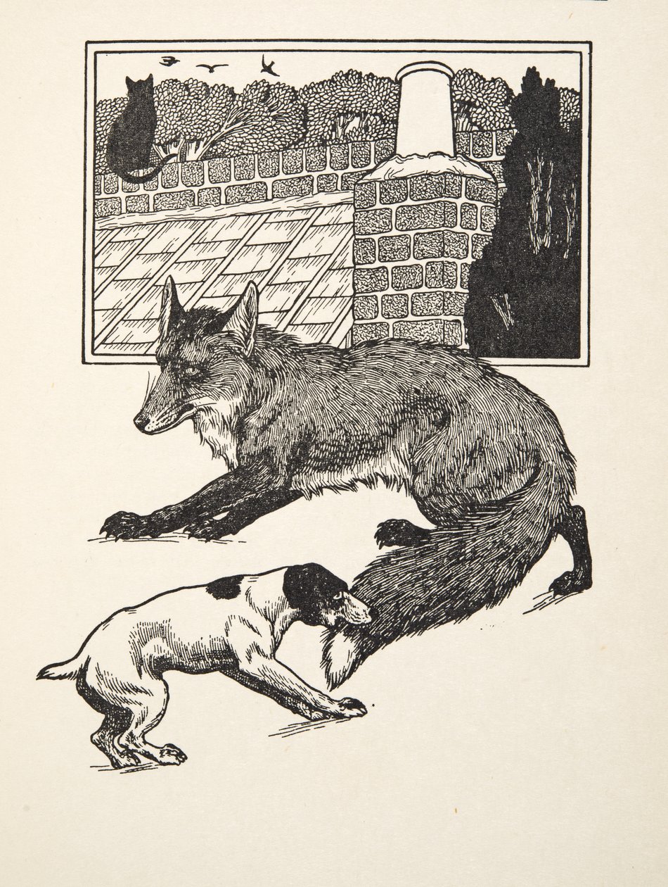 Fox Chasing, sarjasta A Hundred Anekdootes of Animals, pub. 1924 tekijältä Percy J. Billingshurst