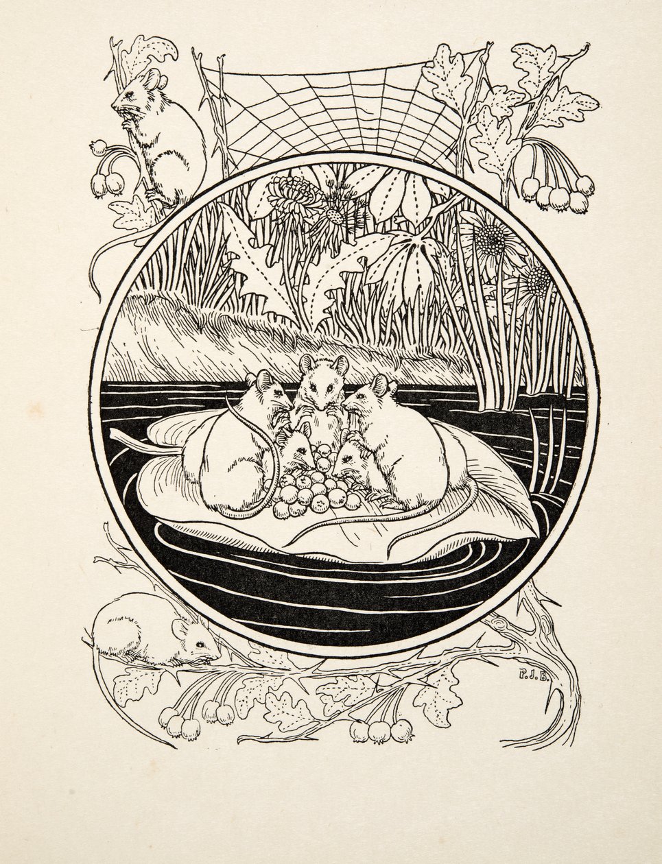 Hiiret navigaattoreina, pubista A Hundred Anekdootteja eläimistä. 1924 tekijältä Percy J. Billingshurst