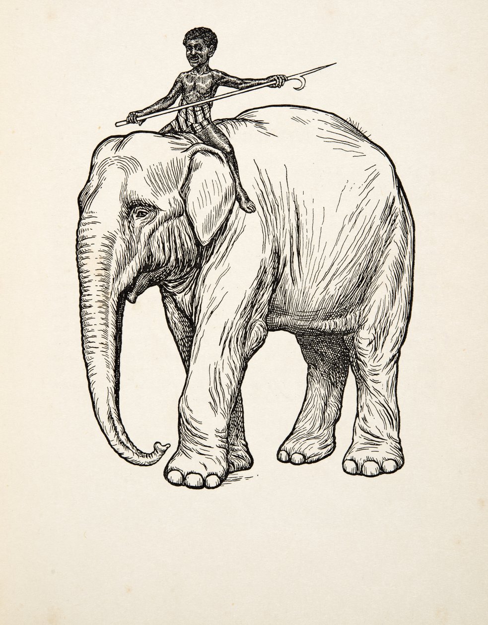 Remorse, julkaisusta A Hundred Anekdootes of Animals, pub. 1924 tekijältä Percy J. Billingshurst