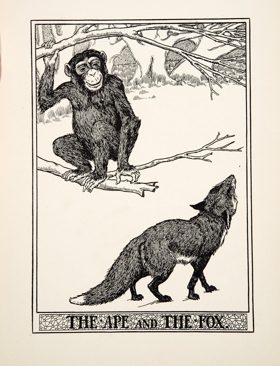 Apina ja kettu, julkaisusta A Hundred Fables of Aesop, pub.1903 (kaiverrus) tekijältä Percy J. Billingshurst