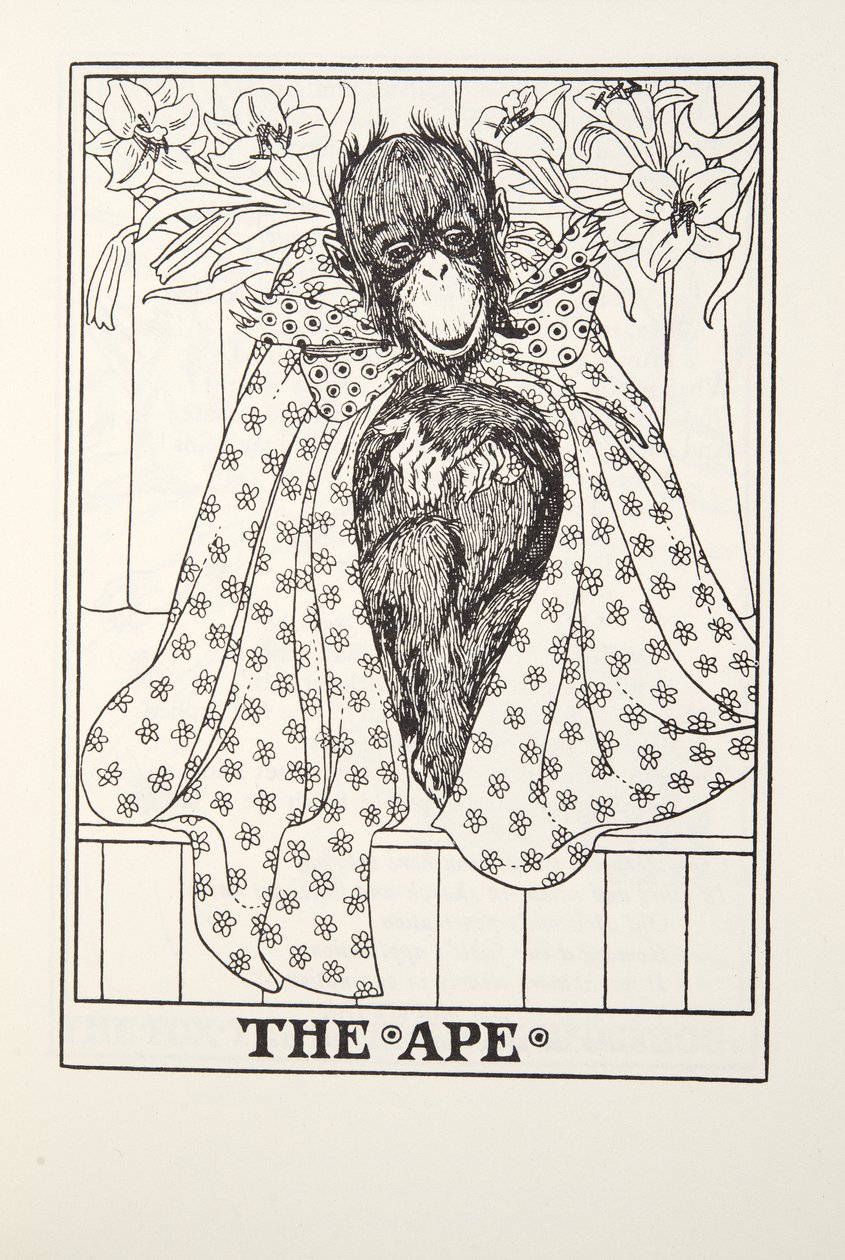 Apina, teoksesta Fontaine Fables, pub. 1905 tekijältä Percy J. Billingshurst