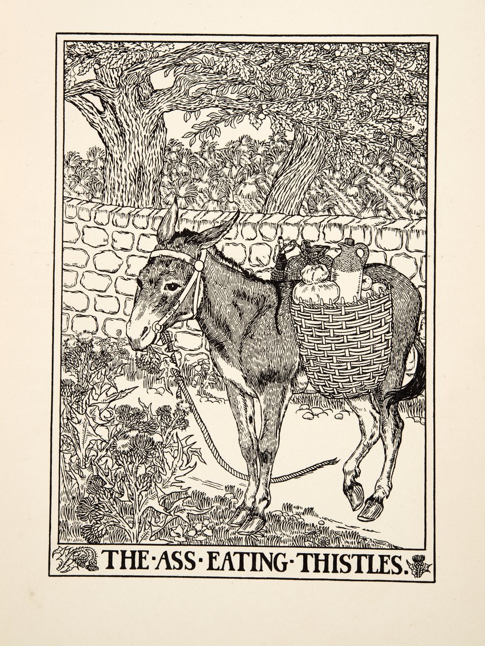 Aasi syö ohdakkeita, julkaisusta A Hundred Fables of Aesop, pub.1903 tekijältä Percy J. Billingshurst