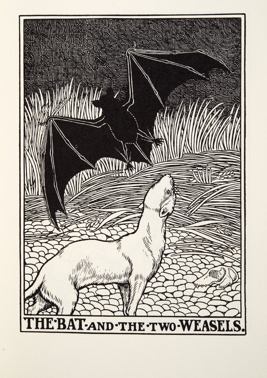 Lepakko ja kaksi näätää, teoksesta Fontaine Fables, pub. 1905 tekijältä Percy J. Billingshurst