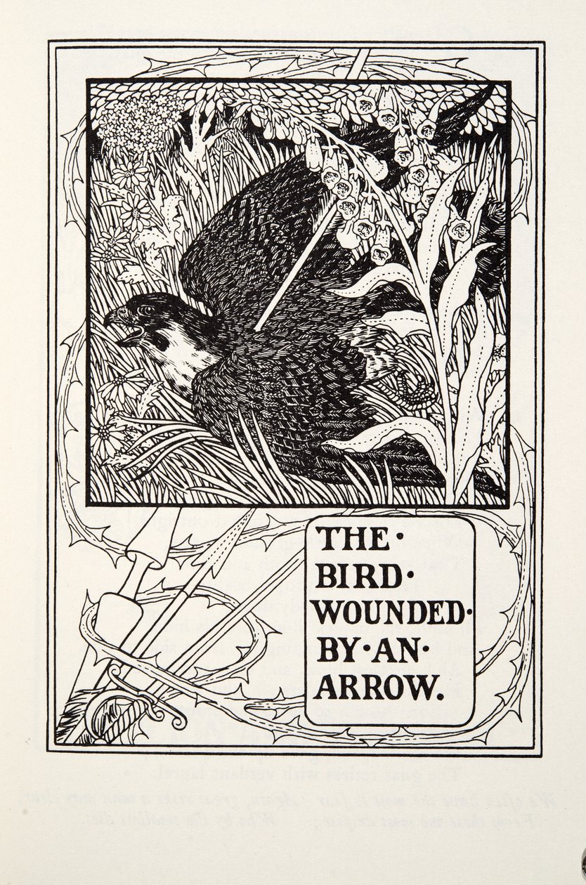 The Bird Wounded by an Arrow, Fontaine Fables, pub. 1905 tekijältä Percy J. Billingshurst