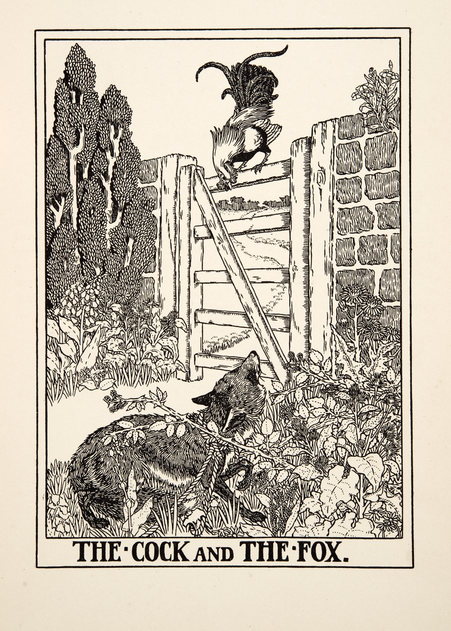 Kukko ja kettu, julkaisusta A Hundred Fables of Aesop, pub.1903 tekijältä Percy J. Billingshurst