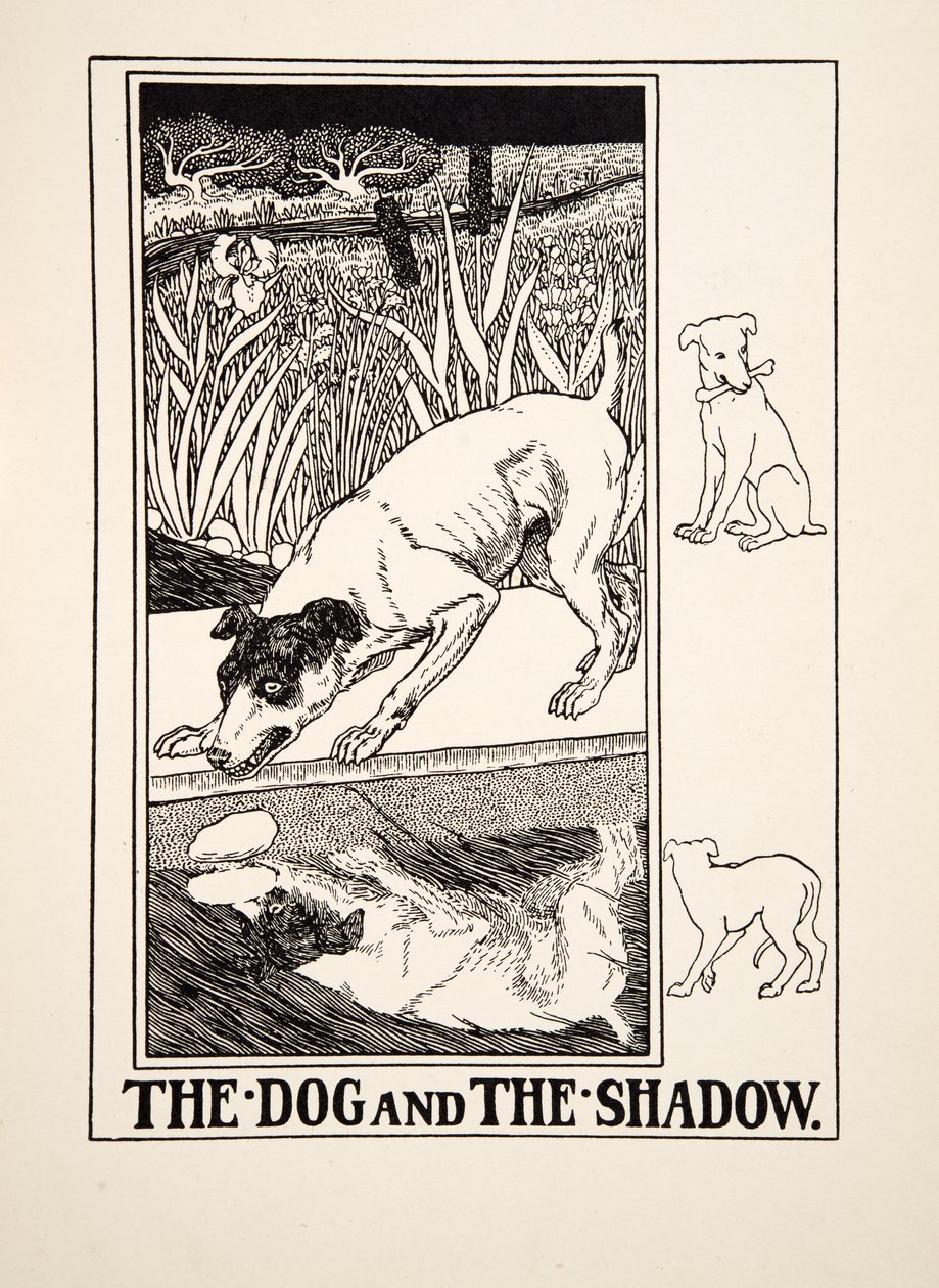 Koira ja varjo, julkaisusta A Hundred Fables of Aesop, pub.1903 tekijältä Percy J. Billingshurst