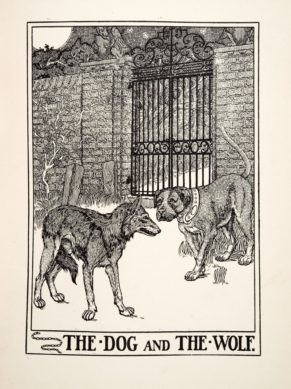 Koira ja susi, julkaisusta A Hundred Fables of Aesop, pub.1903 (kaiverrus) tekijältä Percy J. Billingshurst