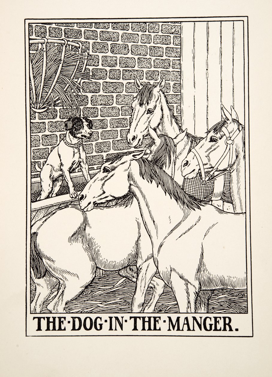 Koira seimessä, julkaisusta A Hundred Fables of Aesop, pub.1903 tekijältä Percy J. Billingshurst