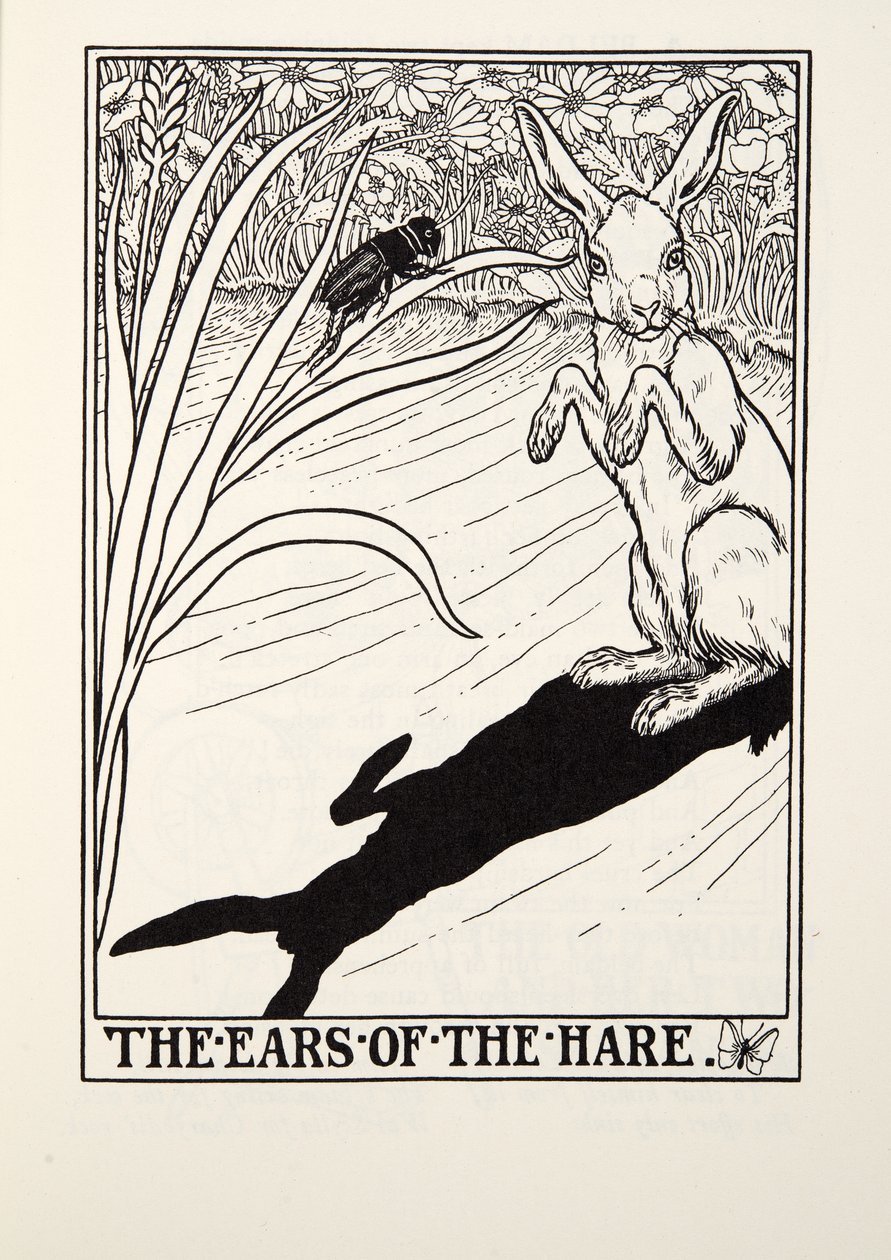 The Ears of the Hare of the Hare, Fontaine Fables, pub. 1905 tekijältä Percy J. Billingshurst