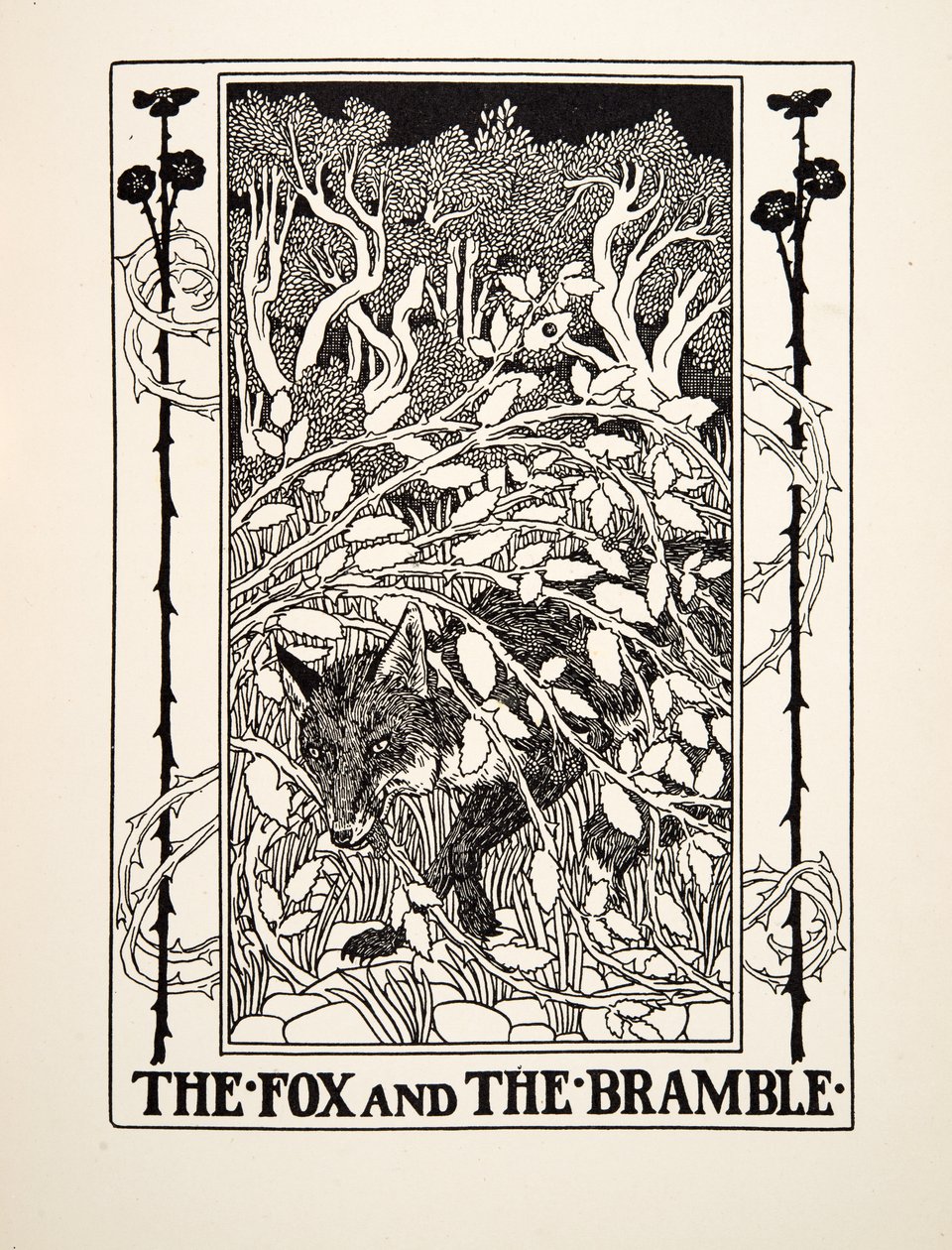 The Fox and the Bramble, julkaisusta A Hundred Fables of Aesop, pub.1903 tekijältä Percy J. Billingshurst