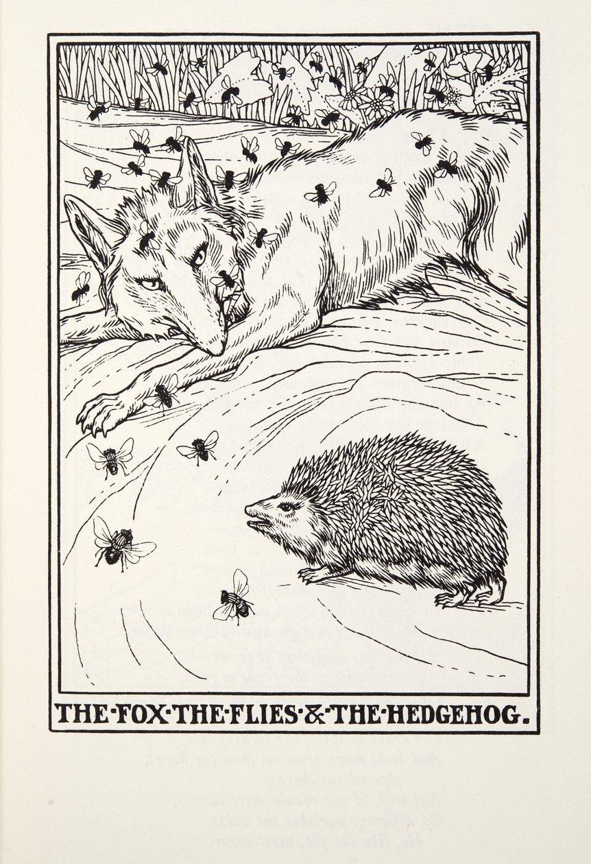 Kettu, kärpäset ja siili, teoksesta Fontaine Fables, pub. 1905 tekijältä Percy J. Billingshurst