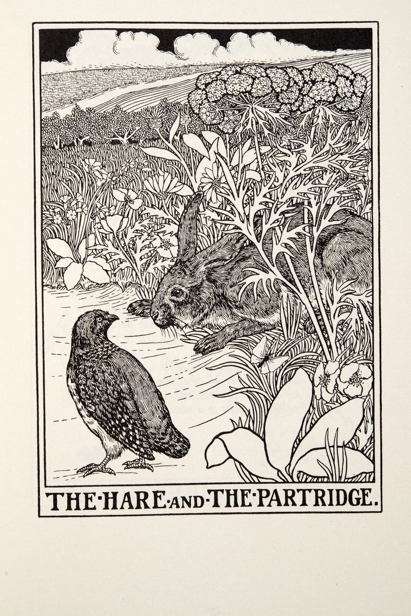 Jänis ja peltopyy, Fontainen saduista, pub. 1905 tekijältä Percy J. Billingshurst