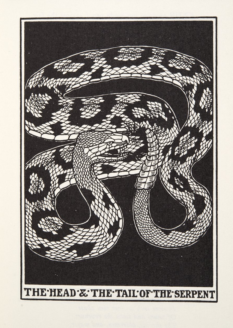 The Head and Tail of the Serpent, Fontaine Fables, pub. 1905 (kaiverrus) tekijältä Percy J. Billingshurst