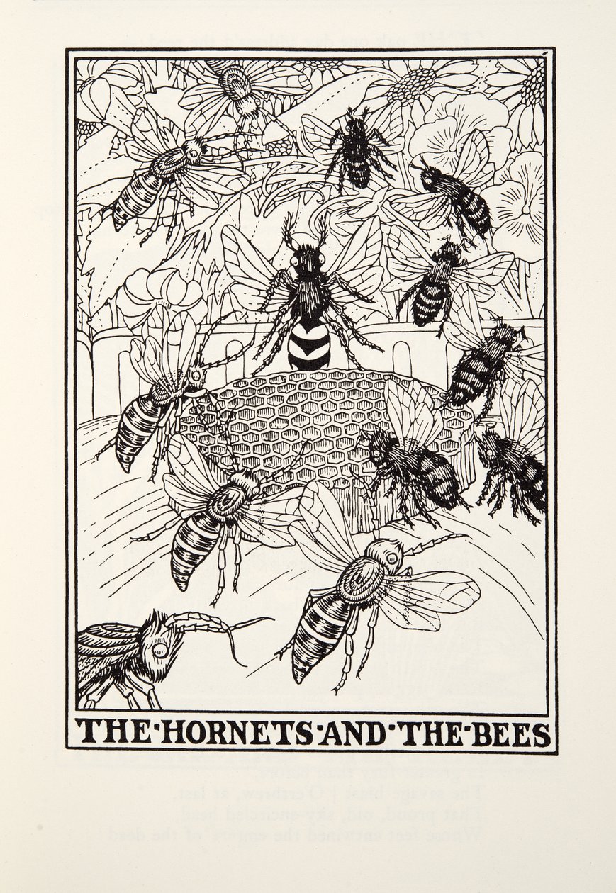 Hornetit ja mehiläiset, Fontaine Fables, pub. 1905 (kaiverrus) tekijältä Percy J. Billingshurst