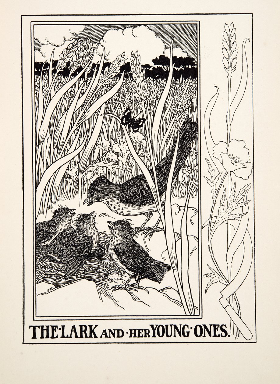 The Lark and her Young Ones, julkaisusta A Hundred Fables of Aesop, pub.1903 (kaiverrus) tekijältä Percy J. Billingshurst