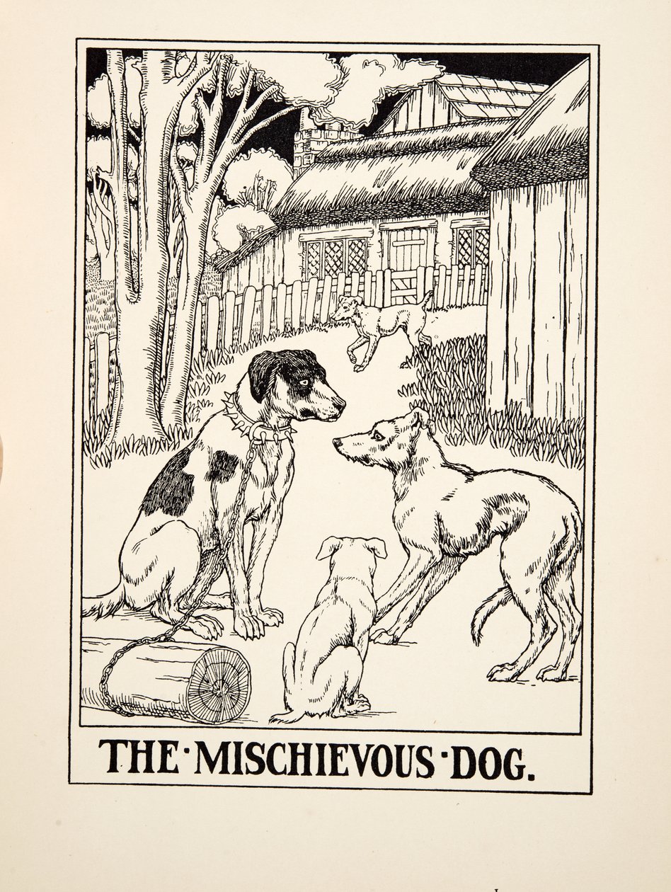 The Mischievous Dog, teoksesta A Hundred Fables of Aesop, pub.1903 (kaiverrus) tekijältä Percy J. Billingshurst