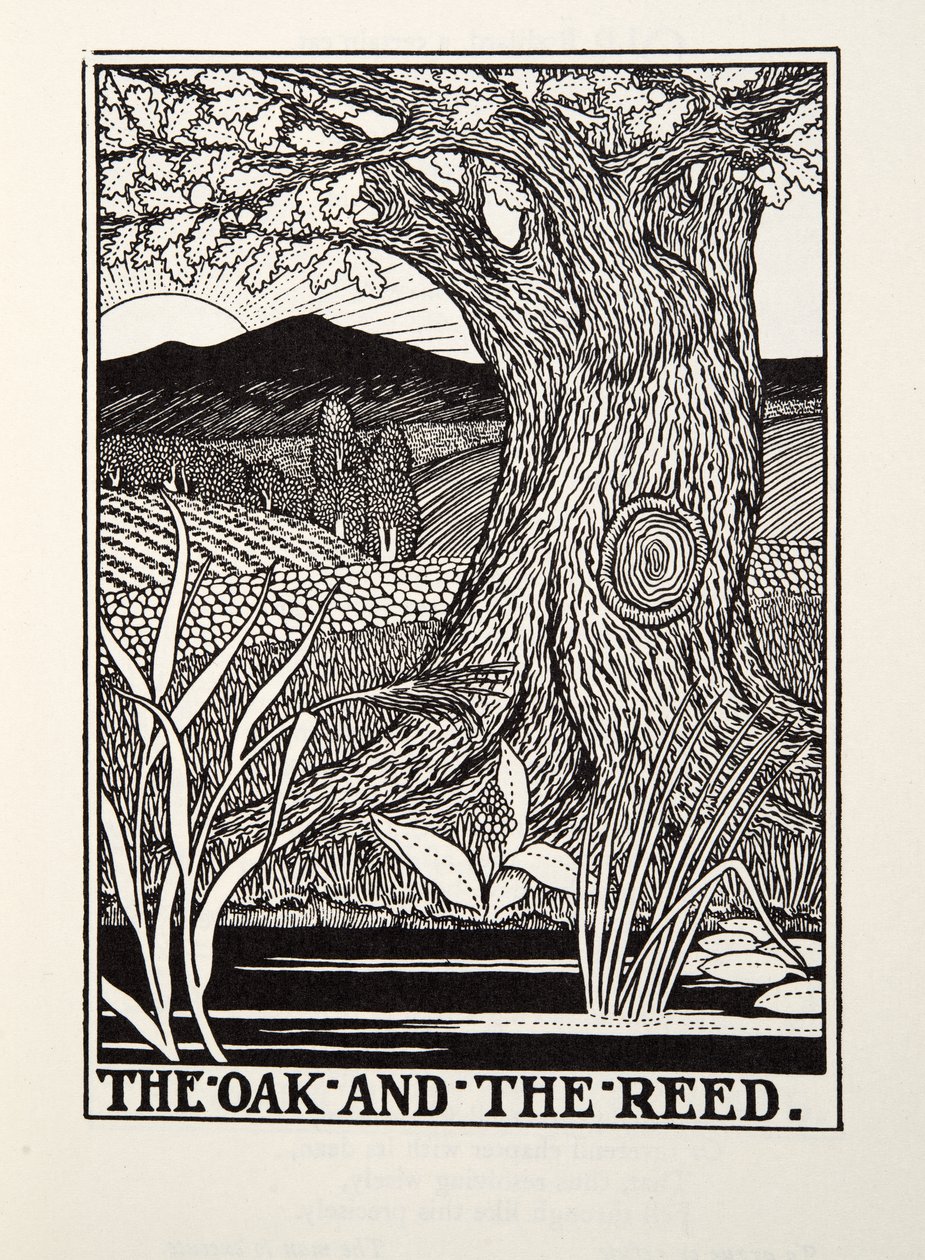 Tammi ja ruoko, Fontainen saduista, pub. 1905 tekijältä Percy J. Billingshurst